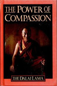 The Power of Compassion